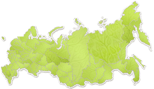 Крупнейшие региональные центры РОПИП